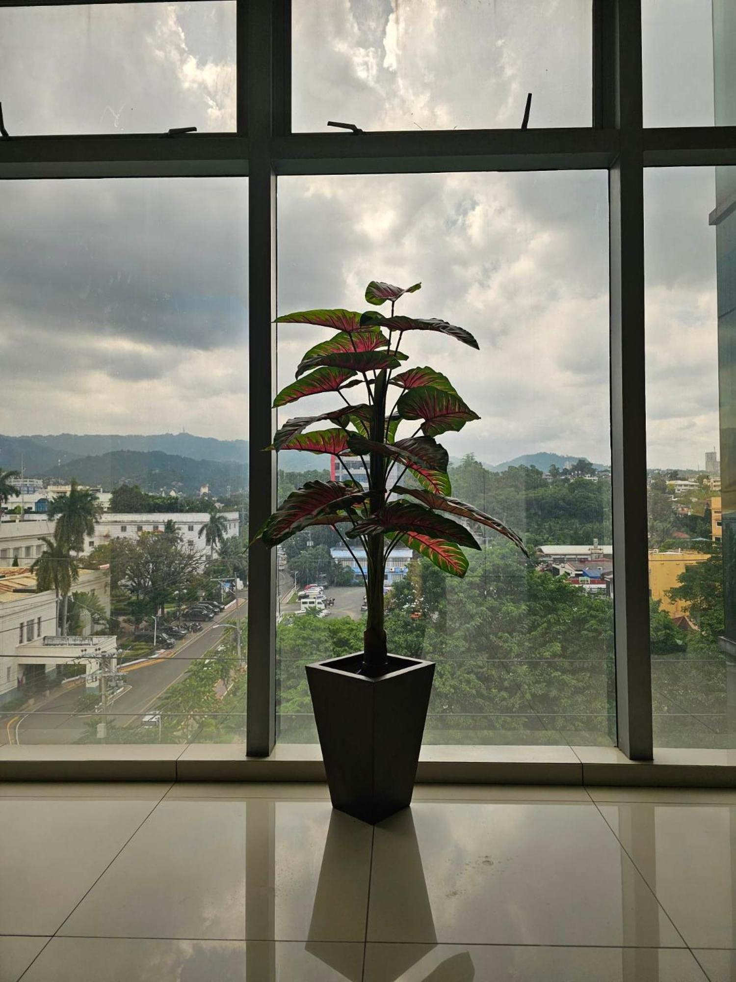 Cebu Capitol Central Hotel & Suites Powered By Cocotel Zewnętrze zdjęcie